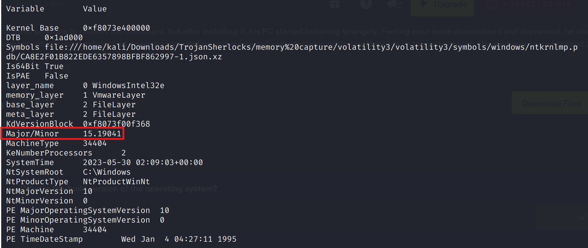 Build version of the OS