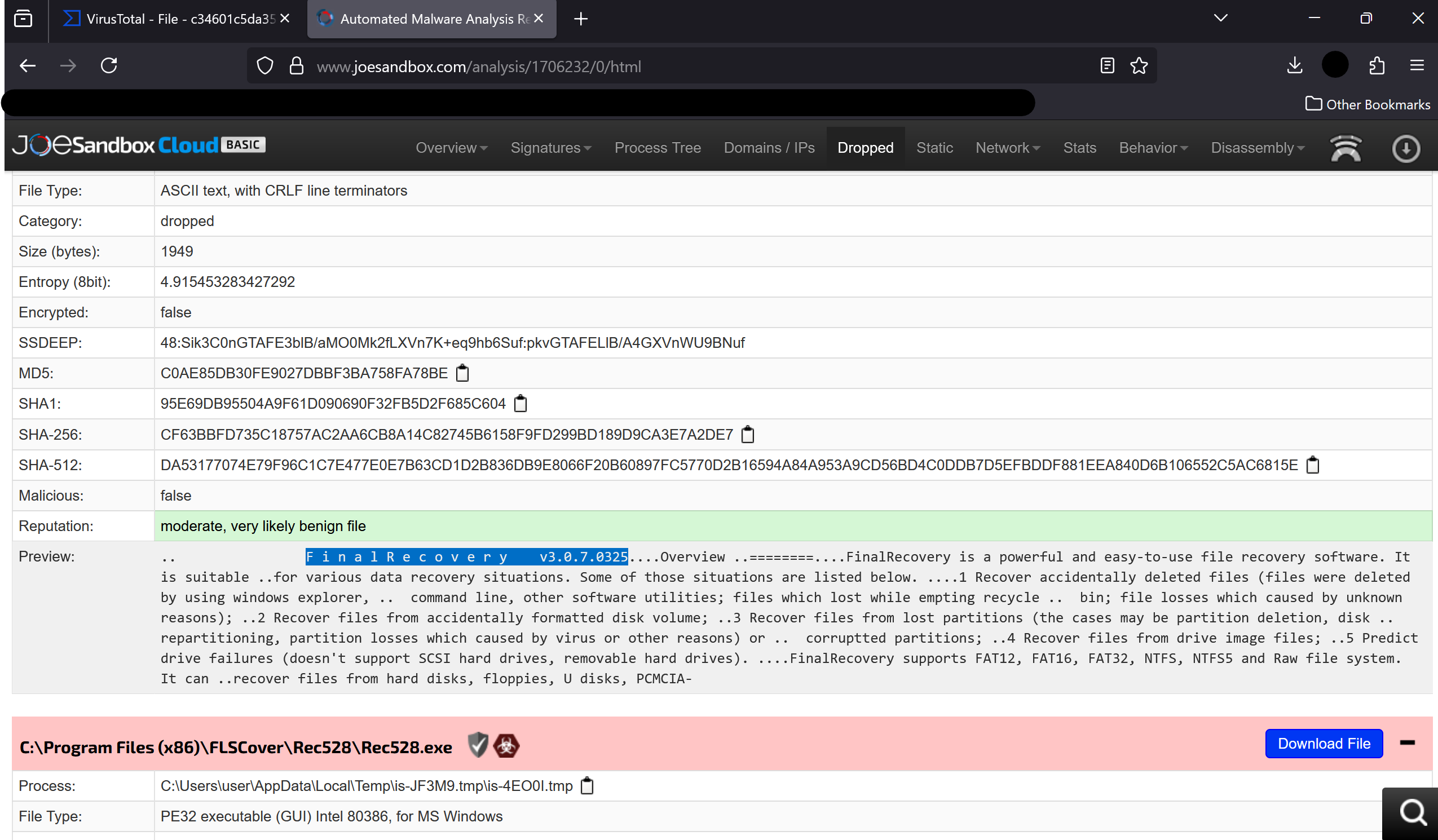 Name and version of the malware